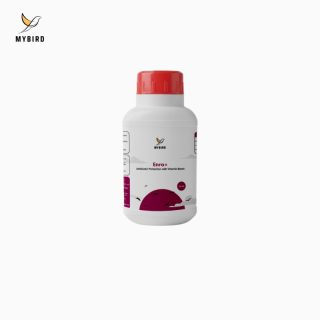 Enro+ Bird Antibiotic – Fast Infection Control
