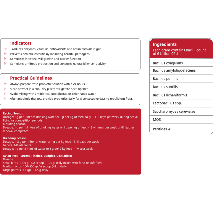ProBact Bird Probiotic – Gut & Immunity Booster